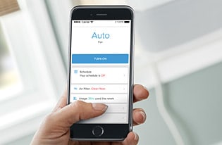 Product Alerts & Support