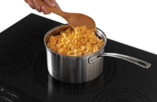 True Temp Melt & Hold