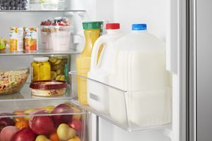 Gallon door bin