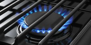 SpeedHeat Burner