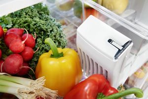 FreshFlow Produce Preserver