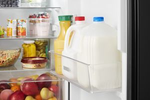 Gallon door bin