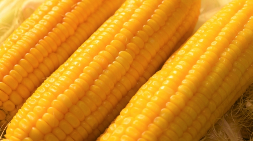 the-secret-to-cooking-juicy-corn-in-your-microwave-1