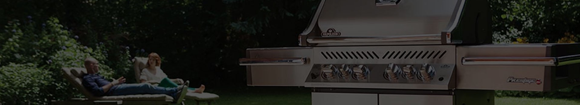 Napoleon Grills