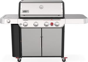 Weber 36400001