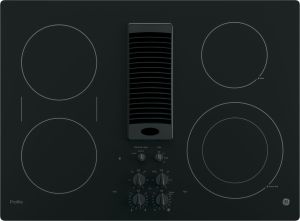 GE PP9830DRBB