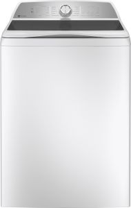 GE PTW600BSRWS