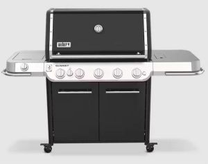 Weber 1500029