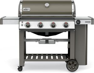 Weber 62050001
